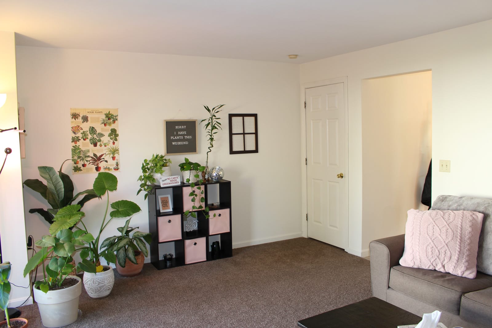 Our Apartments at The Block Apartment Rentals Orono, Maine